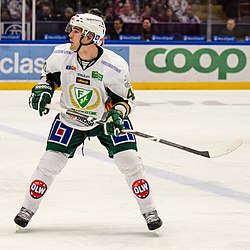 2013-12-30 Niklas Arell 01.jpg