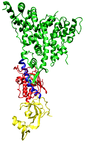 Dicer enzyme