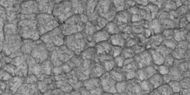 Close-up of high center polygons seen by HiRISE under HiWish program. Troughs between polygons are easily visible in this view.