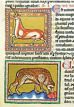 85-Oxford 1511 - Unicorno.jpg