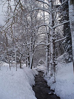 Albeřický potok v zimě