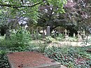 Friedhof. (Baudenkmalgruppe: Ehemaliger Kirchenfriedhof)