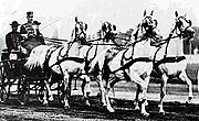ハンガリーの伝統的な4頭立て馬車を引くシャギャ・アラブ（バボルナ 1900年）