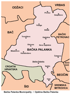 Map of the Bačka Palanka municipality, showing the location of Despotovo.