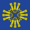 Flag of Barajevo
