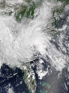 imagem ilustrativa de artigo Tempestade tropical Bertha (2020)