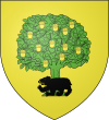 Blason