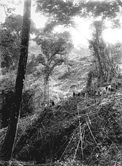 Hillside with people photograph