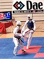 Campeonato absoluto de Promoción de Taekwondo en Madrid. 2 de Junio de 2007.