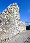 Ruines du château.