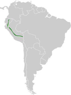 Distribución geográfica del saltarín azabache.