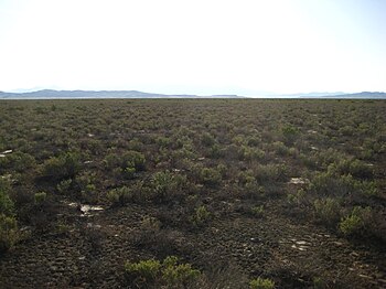 Desolate Landscape.