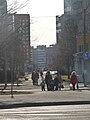EU-EE-Tallinn-LAS-Pae-Пешеходная дорога.JPG