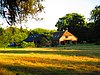 Boerderij met rieten wolfsdak