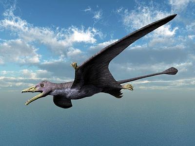 Reconstrucció d'un Eudimorphodon ranzii