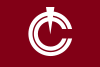 Flag of Tōyō
