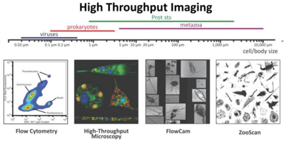 High throughput imaging of plankton samples.png
