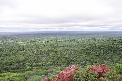 посягательство на кусты в Уотерберге, Намибия