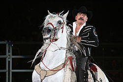 Joan Sebastian Pepsi Center.jpg