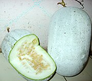 Benincasa hispida, la "calabaza china"[8]​ o "calabaza blanca"[8]​ o "calabaza de la cera", anual, asiática, tropical, sólo cultivada y no se conocen variedades silvestres, en la foto está madura (también se puee cosechar para consumir inmadura, ver en su tabla), al madurar se cubre de una capa cerosa blancuzca, la pulpa con textura de melón.[117]​ Se conserva por un año ayudada de la capa cerosa que impide la proliferación de microorganismos[8]​ En América se cultiva de forma muy restringida y aparentemente sólo para el consumo por parte de inmigrantes asiáticos [cita 74]​ (p. ej. México,[119]​ Venezuela[120]​). Sinónimos científicos: Benincasa pruriens.