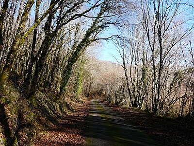 Straße am Belaygue unterhalb von Le Bernard