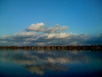 Klarblua lago kun vico de cipresarboj laŭ la horizonto kaj ŝvelaj blankaj nuboj sur la same blua ĉielo