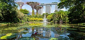 Gardens by the Bay things to do in Tampines