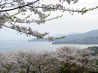 Minamatan ”Cherry Line”