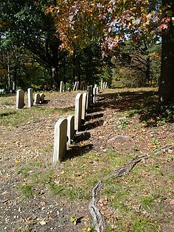 Mount Peace Cemetery and Funeral Directing Company Cemetery