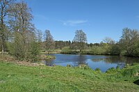 Teich auf der Moormarsch