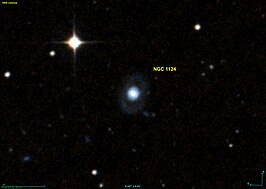 NGC 1124