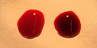 Two drops of blood are shown with a bright red oxygenated drop on the left and a darker red deoxygenated drop on the right. NIK 3232-Drops of blood medium.JPG
