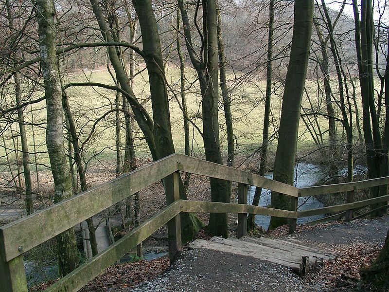 В долине речки Дюссель. Фото: Википедия, автор Cordula