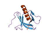 1fb8: STRUCTURE OF THE PLECKSTRIN HOMOLOGY DOMAIN FROM DAPP1/PHISH