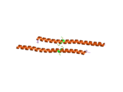 1wq6: The tetramer structure of the nervy homolgy two (NHR2) domain of AML1-ETO is critical for AML1-ETO'S activity