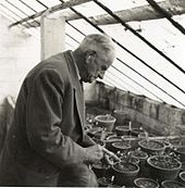 Pedro Dot in his greenhouse nursery.