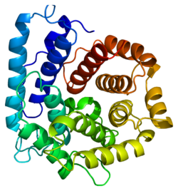 Protein C3 PDB 1c3d.png