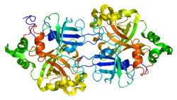 Protein CFB PDB 1dle.png