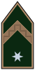 Army-HUN-OR-05.svg