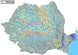 Рауль Тарнава.jpg