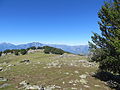 Vue estivale du massif du Monte Rotondo depuis les Caldane.