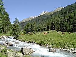 A Schwarzach-patak a felső Defereggen-völgyben