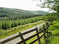 Miniatura para Montañas Slieve Bloom