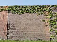 Le mur d'enceinte.