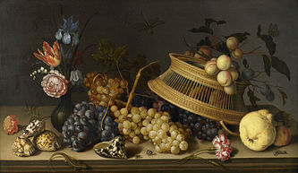 Still Life of Flowers, Fruit, Shells, and Insects - Balthasar van der Ast - Google Cultural Institute.jpg