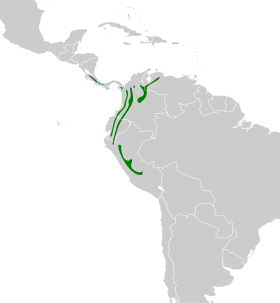 Distribución geográfica del ticotico rayado.