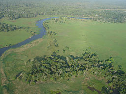 Trans-Flys savannområde i Papua New Guinea