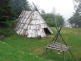 A typical wigwam in the Northeast has a curved surface which can hold up against the worst weather. The male of the family was responsible for the framing of the wigwam. Young green tree saplings, of just about any type of wood, about ten to fifteen feet long were cut down. These tree saplings were then bent by stretching the wood. While these saplings were being bent, a circle was drawn on the ground. The diameter of the circle varied from ten to sixteen feet. The bent saplings were then placed over the drawn circle, using the tallest saplings in the middle and the shorter ones on the outside. The saplings formed arches all in one direction on the circle. The next set of saplings was used to wrap around the wigwam to give the shelter support. When the two sets of saplings were finally tied together, the sides and roof were placed on it. The sides of the wigwam were usually bark stripped from trees.