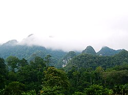 Xuân Sơn National Park