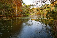 神戸市立森林植物園の長谷池